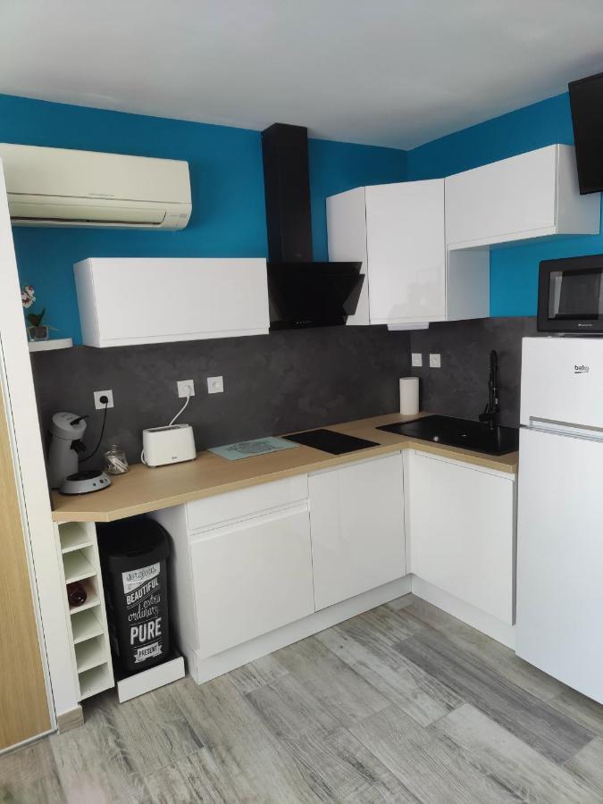 Studio Climatise 50 M.Du Port Saint-Cyprien Kültér fotó