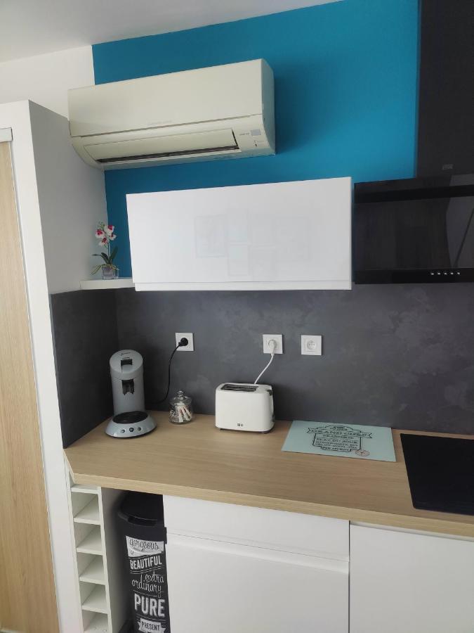 Studio Climatise 50 M.Du Port Saint-Cyprien Kültér fotó